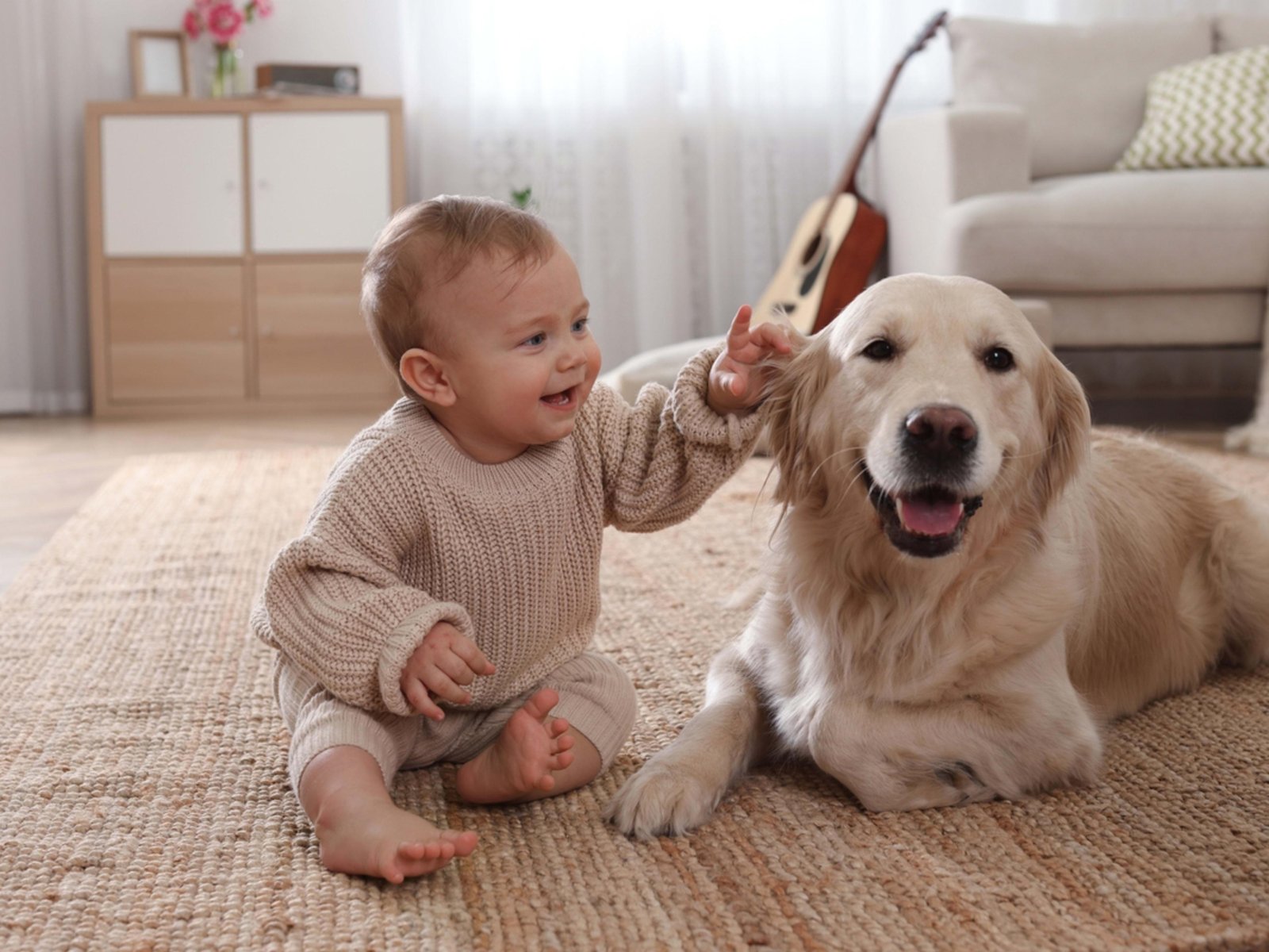 BEBÉS QUE CONVIVEN CON PERROS PODRÍAN TENER MEJOR SALUD RESPIRATORIA, SEGÚN UN NUEVO ESTUDIO
