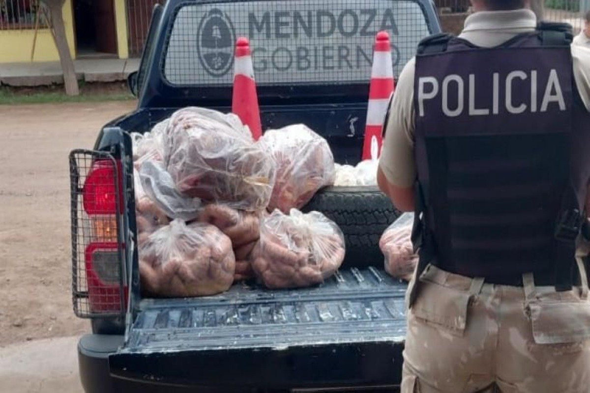 DECOMISAN CASI 300 KILOS DE CARNE EN MAL ESTADO QUE IBAN A SER COMERCIALIZADOS EN RIVADAVIA