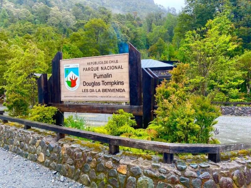 EL MULTIMILLONARIO QUE COMPRÓ MILLONES DE HECTÁREAS EN SUDAMÉRICA PARA DONARLAS Y PROTEGER LA NATURALEZA
