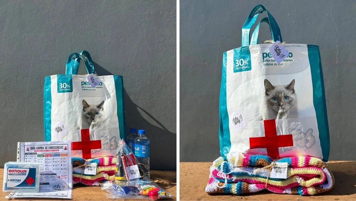 ESTUDIANTES DE JUNÍN CREARON UN BOLSO DE EMERGENCIA SUSTENTABLE PARA LOS SISMOS