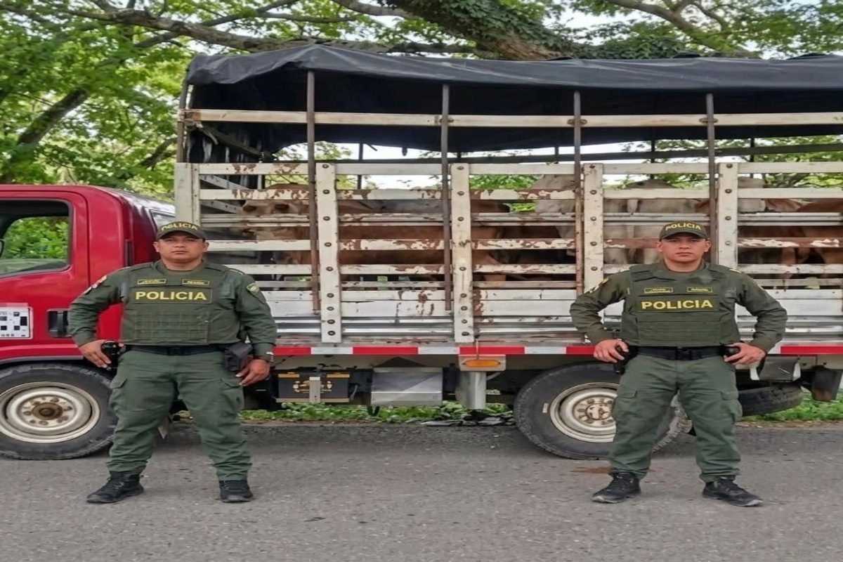 LA POLICÍA RURAL DETECTÓ 16 VACUNOS SIN MARCAR DURANTE UN CONTROL EN LA PAZ