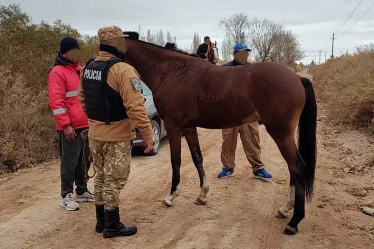 LA POLICÍA RURAL FRUSTRÓ EL ROBO DE CABALLOS Y DETUVO A UN HOMBRE EN RIVADAVIA