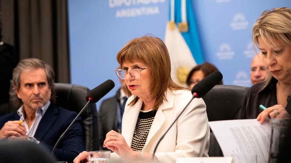 LOS LIBERTARIOS SUFREN UN DURO REVÉS EN EL SENADO: SE VOLVIÓ A POSTERGAR LA LEY QUE HABILITA LA VENTA LIBRE DE TIERRAS A EXTRANJEROS