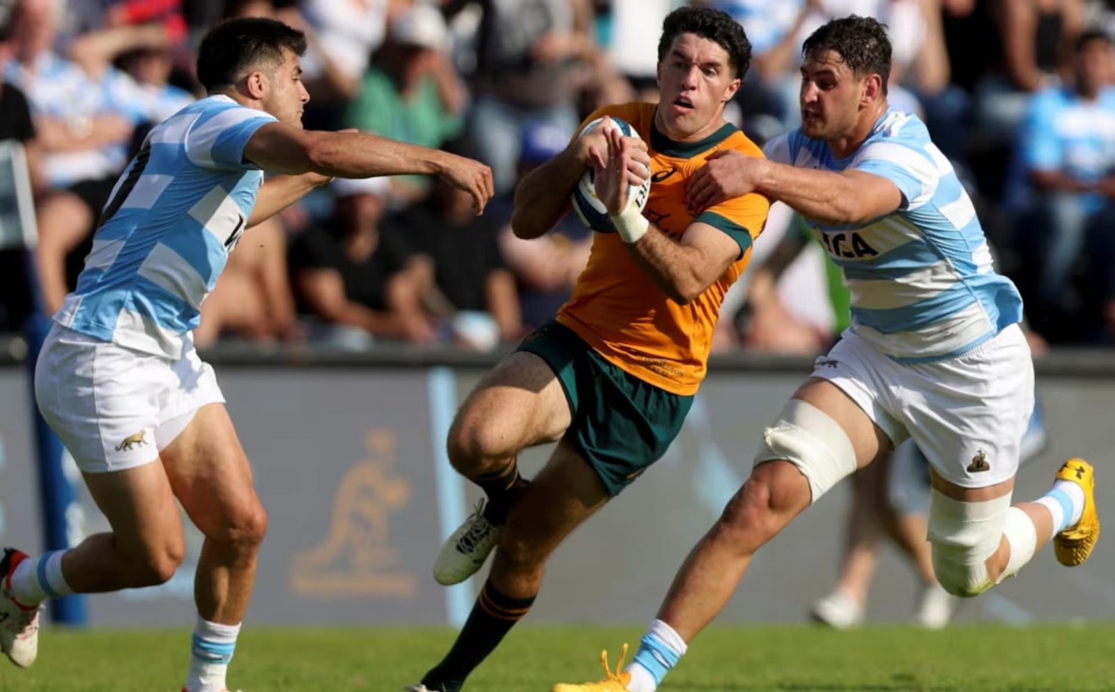 LOS PUMAS VAN POR UN NUEVO TRIUNFO ANTE AUSTRALIA Y DOS MENDOCINOS SERÁN PROTAGONISTAS