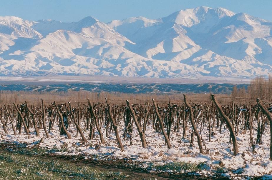 MENDOZA ARRANCA LA SEMANA CON HELADAS Y UN LEVE RESPIRO TÉRMICO: CUÁNTO SUBIRÁ LA TEMPERATURA