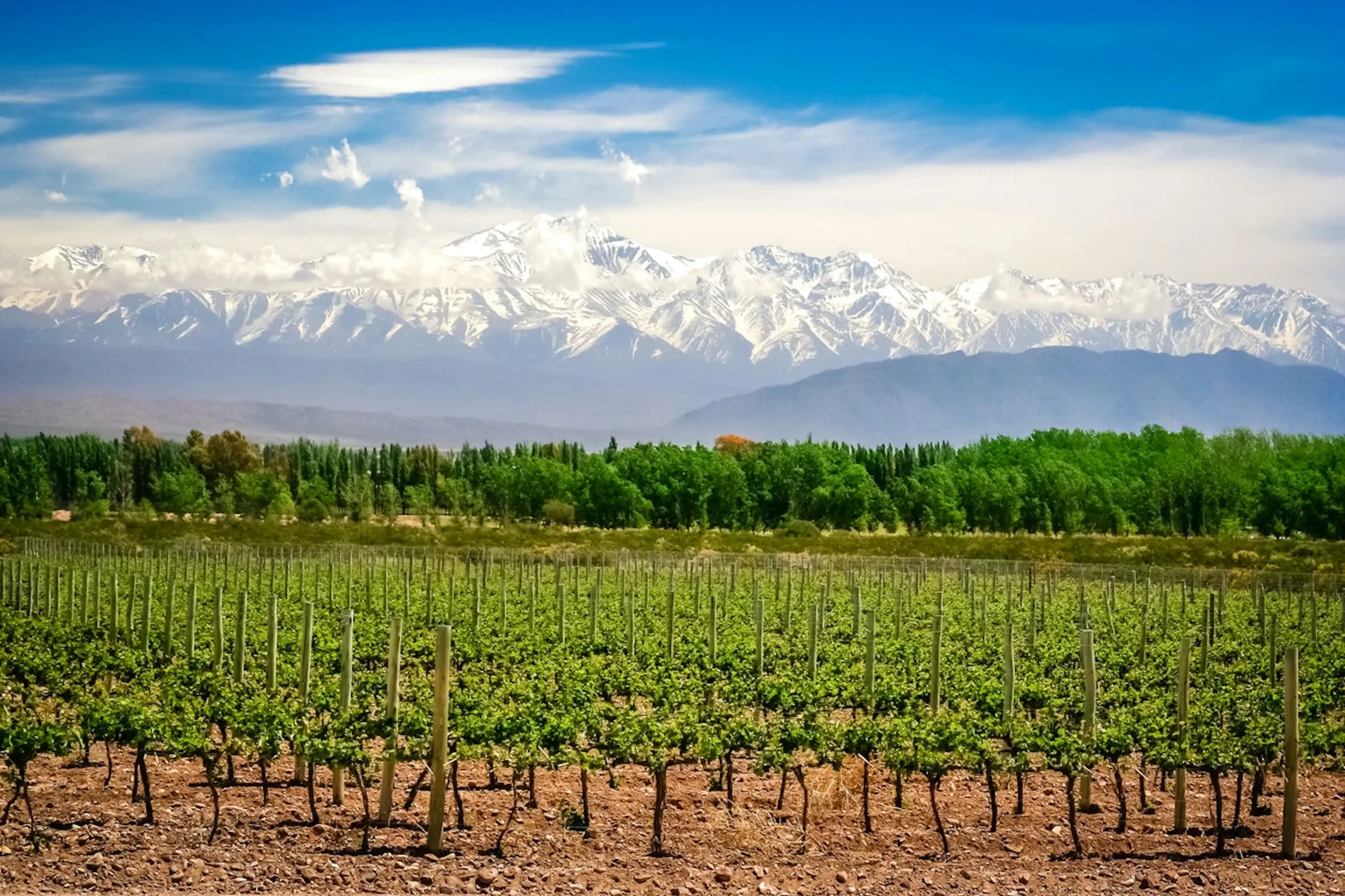 MENDOZA SE UBICÓ ENTRE LOS 5 DESTINOS MÁS BUSCADOS PARA EL FIN DE SEMANA LARGO DEL 9 DE JULIO
