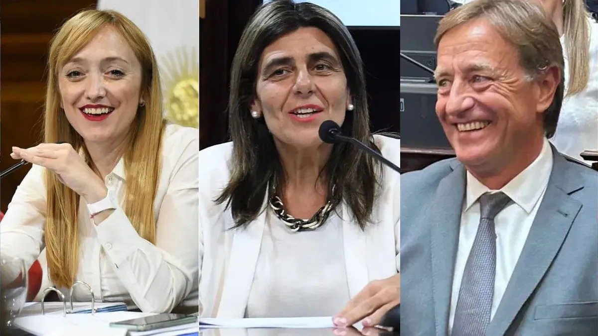 MENDOZA VOTÓ DIVIDIDA: JURI Y SUAREZ APOYARON LA LEY, SAGASTI NI SIQUIERA PUDO VOTAR