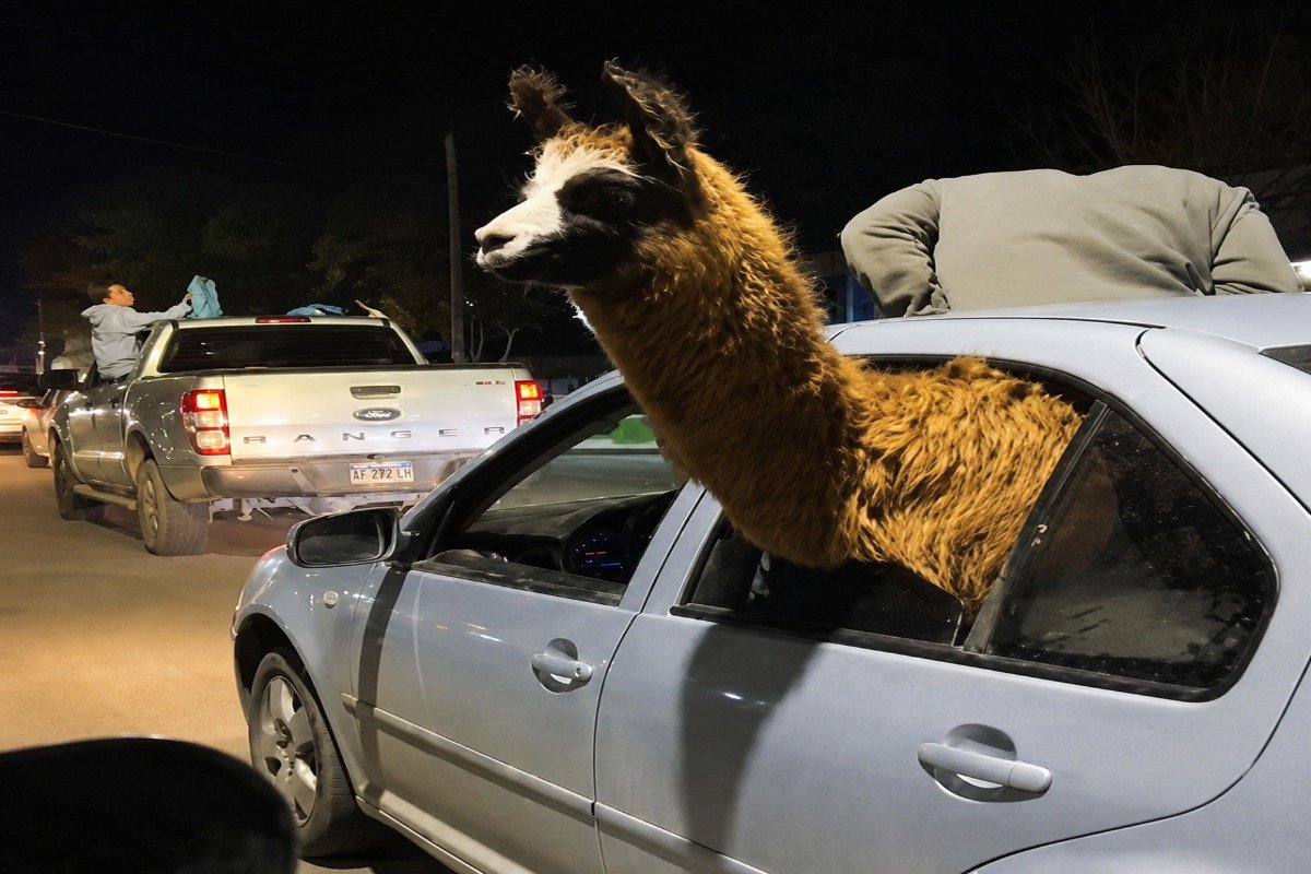 NO, NO ES IA, ES LA PAZ MENDOZA! LA LLAMA VIRAL DURANTE LOS FESTEJOS DE LA SELECCIÓN