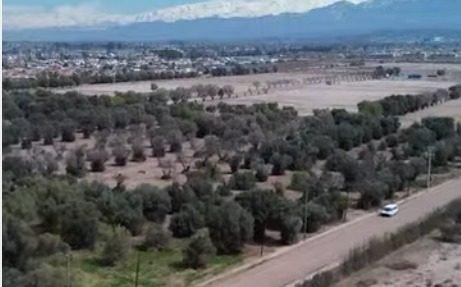 NUEVO POLO URBANO EN MAIPÚ: AVANZA UN PROYECTO INMOBILIARIO QUE INTEGRA NATURALEZA, VIVIENDA Y SERVICIOS