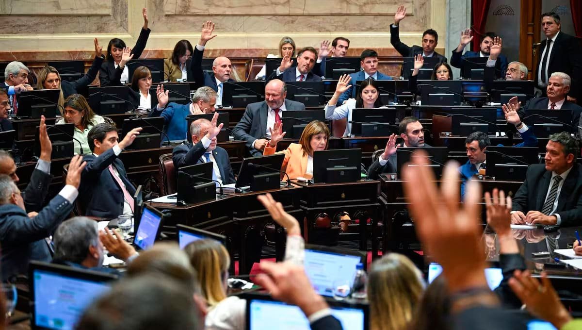 SE CAYÓ OTRO CAPÍTULO: LA MAL LLAMADA "LEY DE PROPIEDAD PRIVADA", LOGRA MEDIA SANCIÓN PERO TOTALMENTE CERCENADA