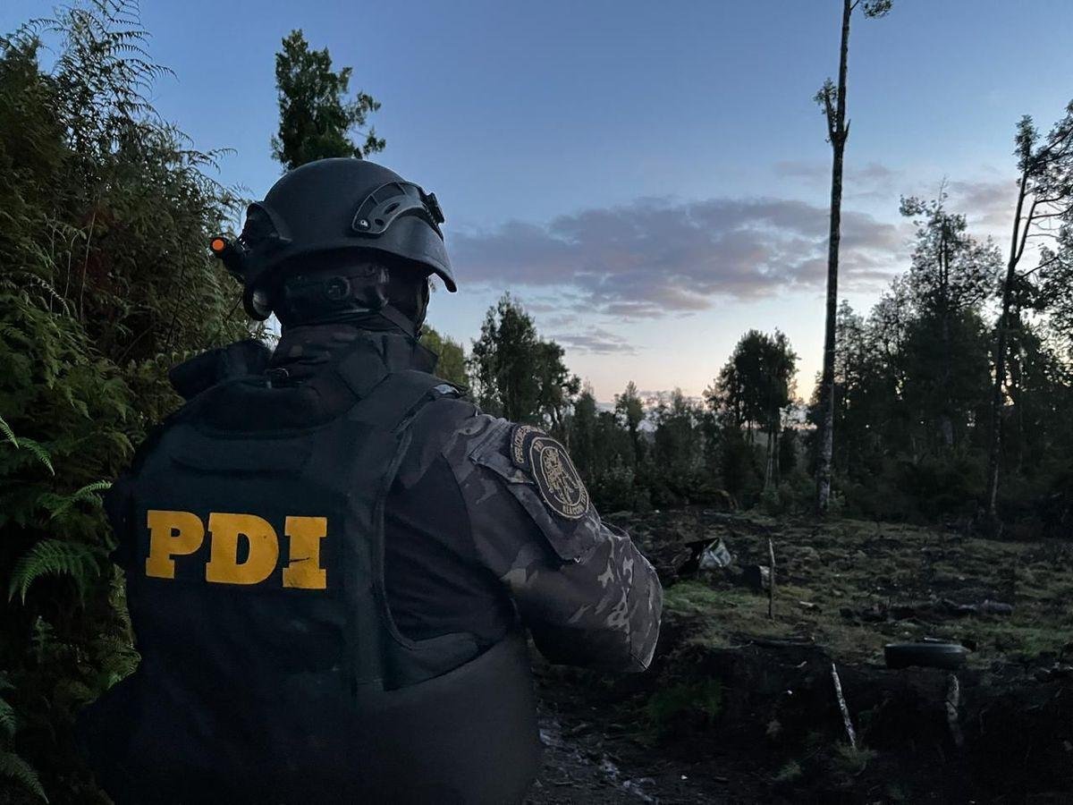 TALÓ DURANTE MÁS DE 10 AÑOS UN BOSQUE DEL EJÉRCITO DE CHILE Y ENFRENTA UNA MULTA DE MÁS DE $8.300 MILLONES