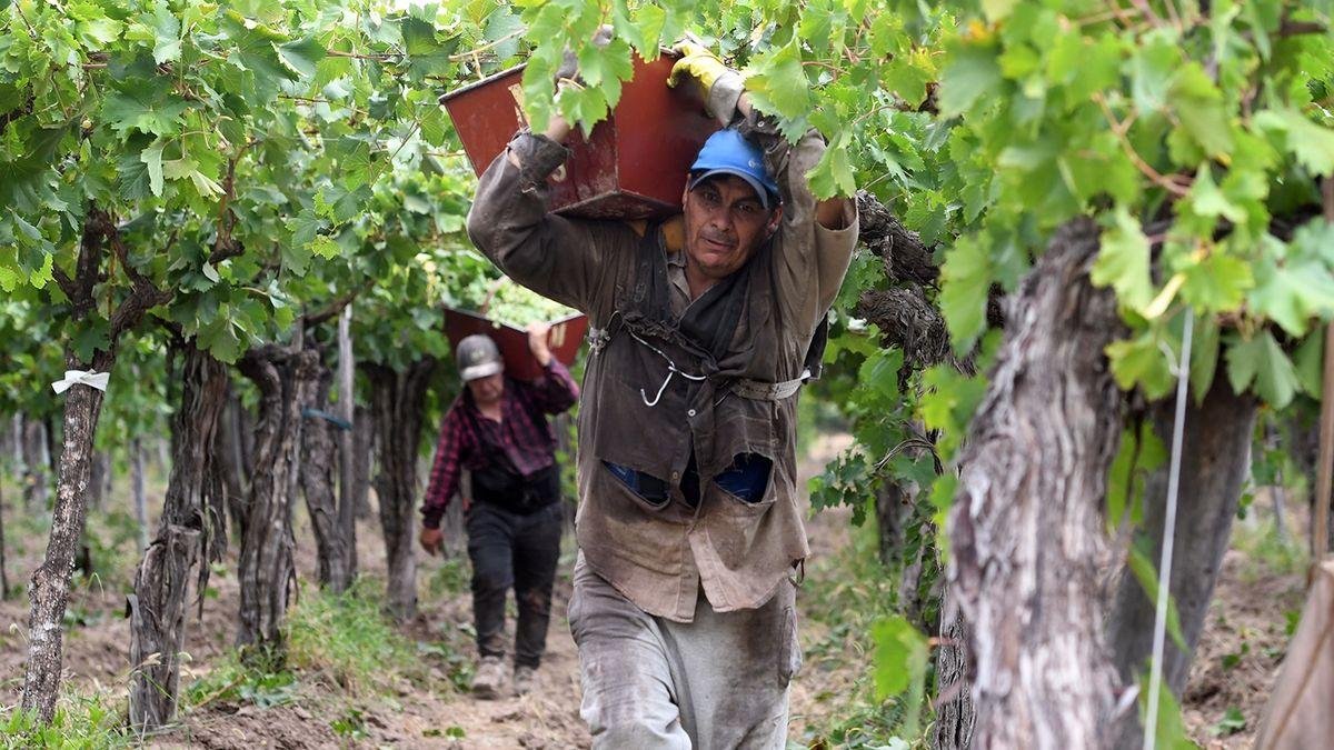 TRABAJADORES RURALES DE MENDOZA PODRÁN RETOMAR Y TERMINAR SUS ESTUDIOS PRIMARIOS Y SECUNDARIOS