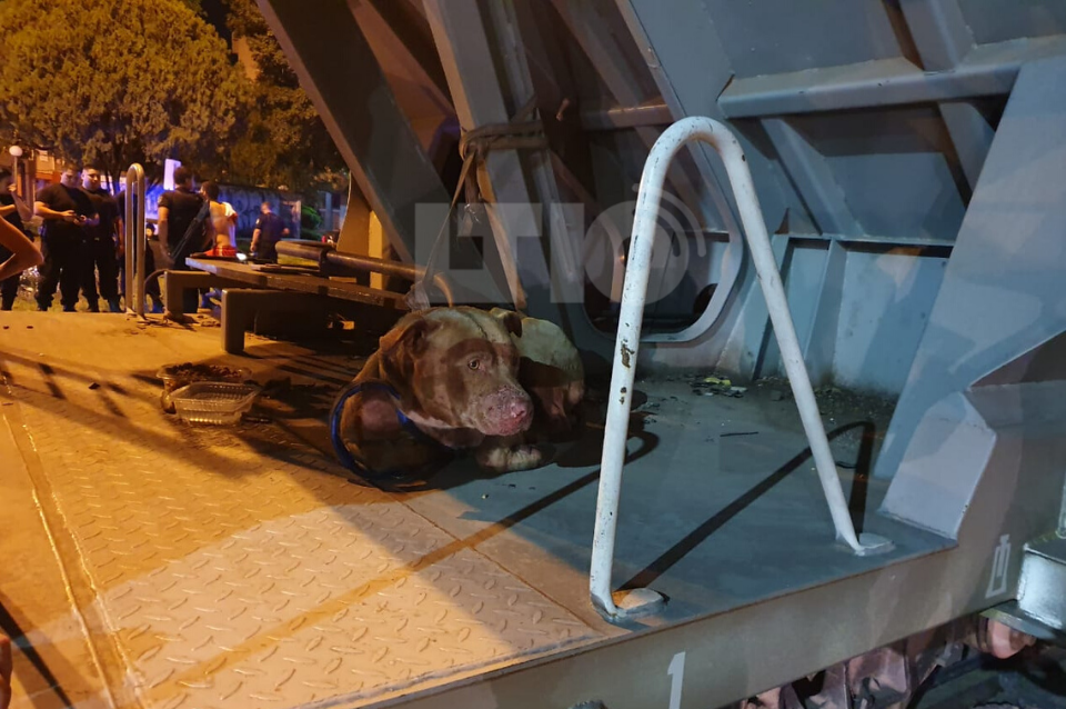 TRAGEDIA EN CÓRDOBA: EL DESGARRADOR RELATO DE LA MAMÁ DEL NENE DE 3 AÑOS QUE MURIÓ TRAS EL ATAQUE DE UN PITBULL