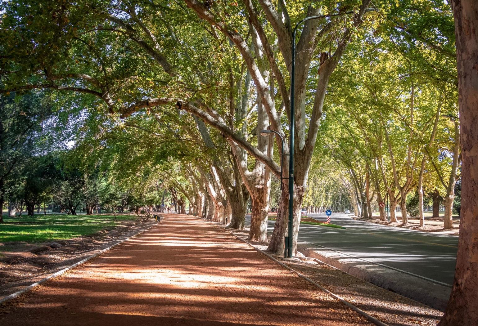 UNA PRIMAVERA CON TEMPERATURAS DE VERANO: EL FIN DE SEMANA ROZARÁ LOS 30°